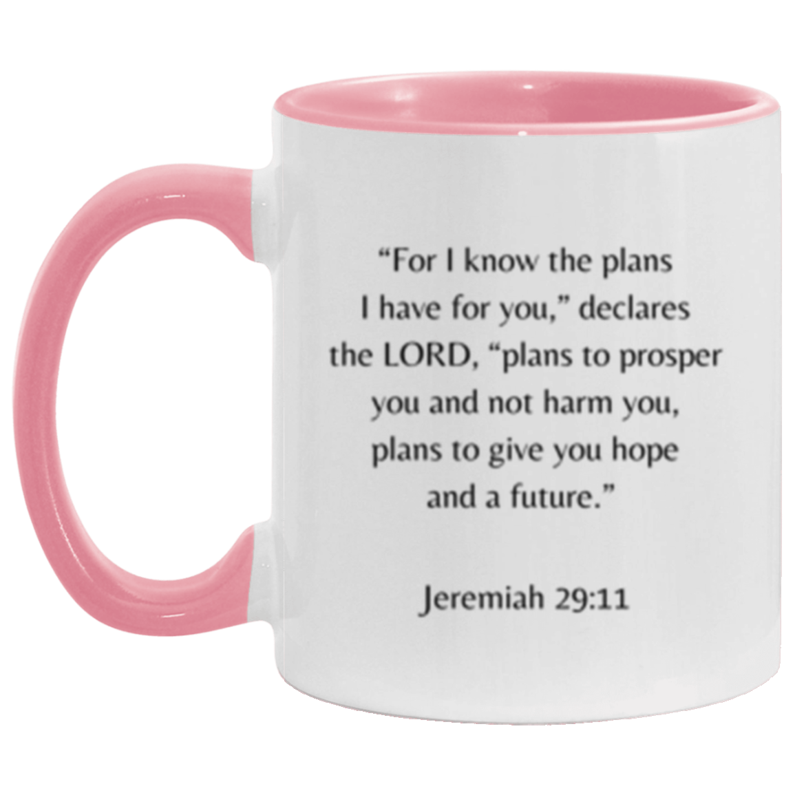 Jeremiah 29:11 Mug