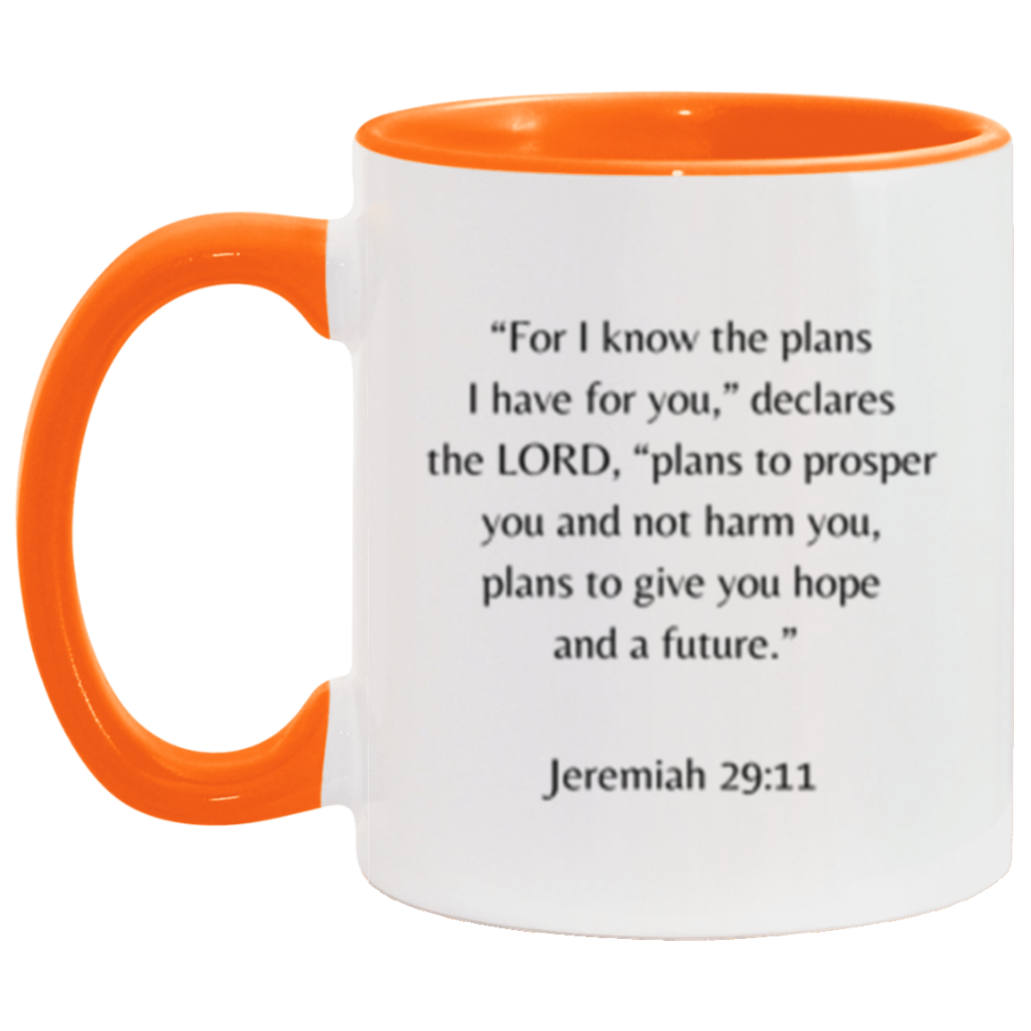 Jeremiah 29:11 Mug