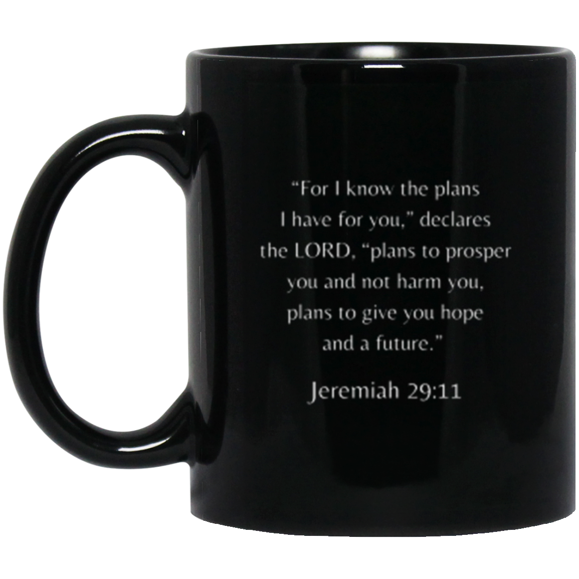 Jeremiah 29:11 Mug